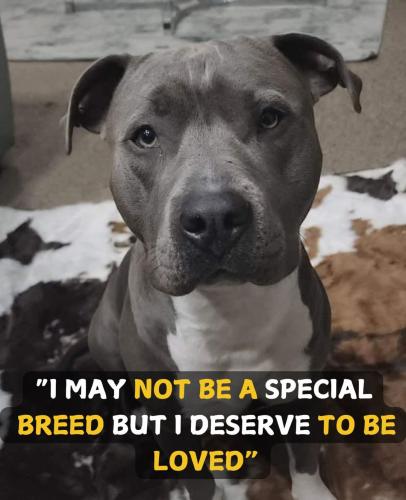 FB_IMG_1742831970566