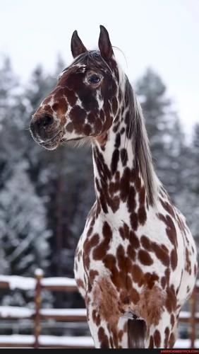 a99a6a20d905f961632394ad28bbf47bffb70501b8b323216a6a5c5cad12e3dd_1