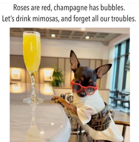 FB_IMG_1742228485908