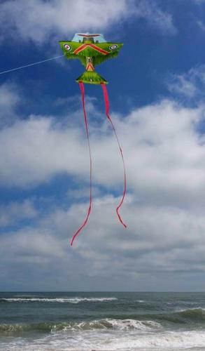 Screenshot_20250330_073429_Gallery