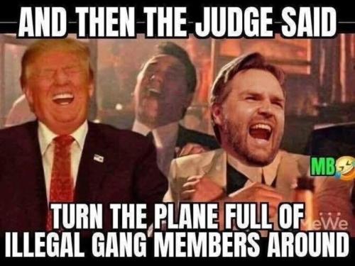 image_58964E52-DB2C-4342-811D-22269980D1CD