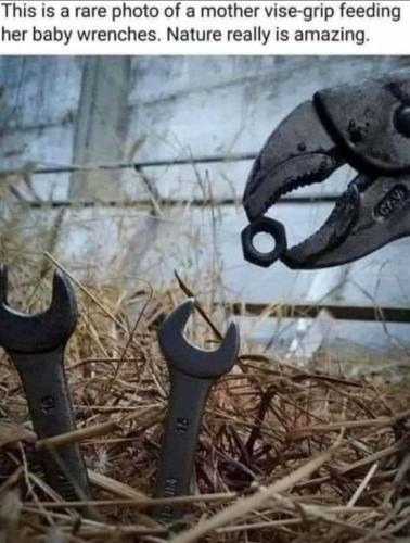 51fdd9e4-f106-4915-ac86-a8e724a7c140