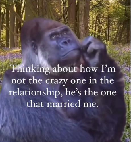 50056BD8-6617-4CAB-A0EE-169AE39DA92F