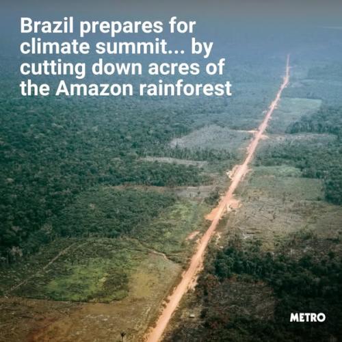 483490395_1078084701015665_4922274781813856870_n