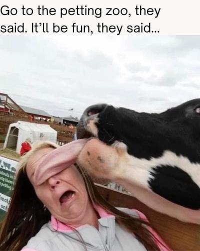 FB_IMG_1742146216907