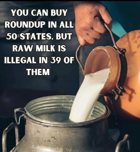 image_2025-03-01_070805494