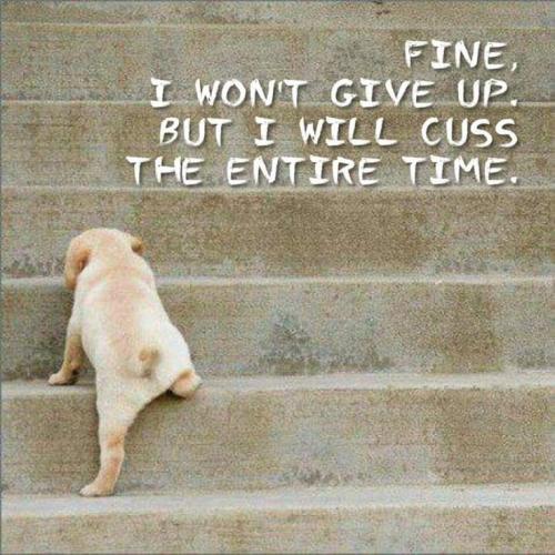 70f6b44ce9539f335ba423086a419af3