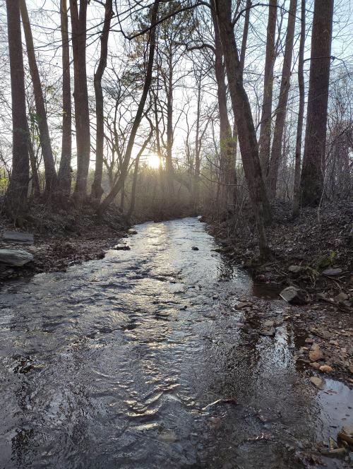 e46d7e4b-cbd2-4050-8592-3a4069dcbcab