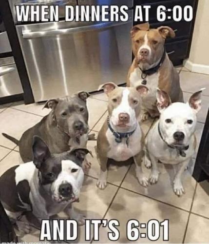 048FC114-6D7D-4041-8CC4-4CA958A60F82