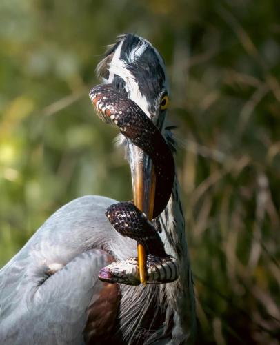 RDT_20250307_162828227946873919925599