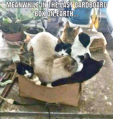 9B924B5A-0D6A-407B-AE27-BA804EA3B9FA