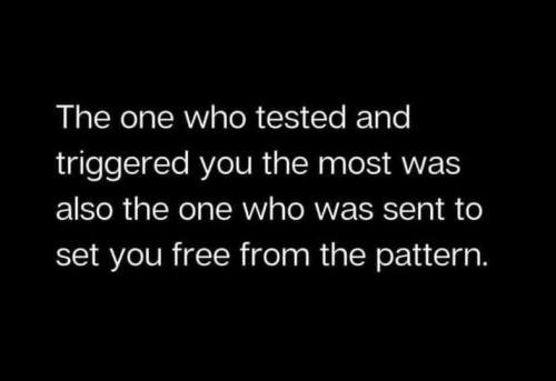 484072450_654749667239837_1635630789044951225_n