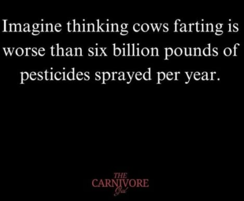 Screenshot 2025-03-21 192157