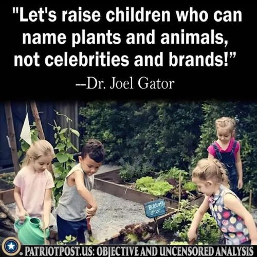 01JPSY23D3PVP8G7APAH0NRCSS