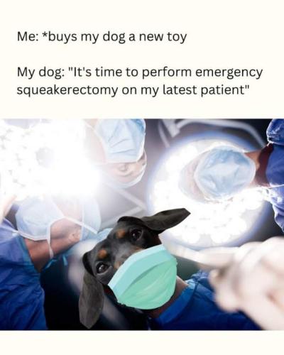 Resized_FB_IMG_1741996651978