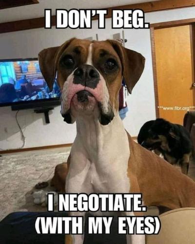 FB_IMG_1741903706676