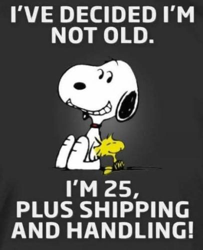 FB_IMG_1741114005866