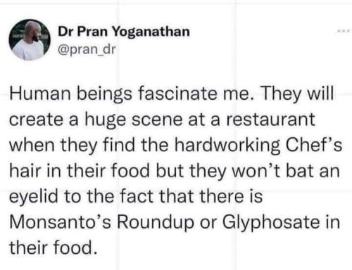 image_1489F9FE-0E4F-4BA3-B3AF-100C3A42AA14