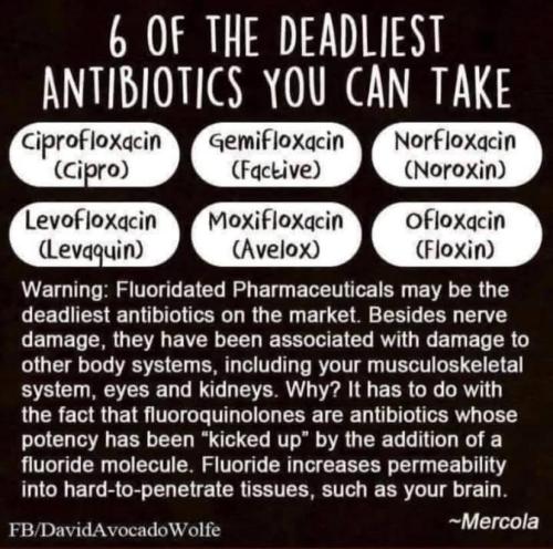 photo_2025-03-18_22-23-24