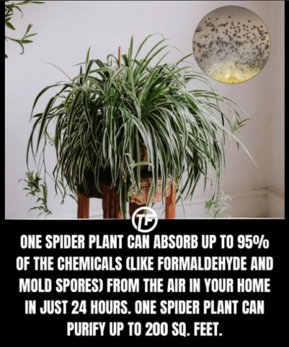 Screenshot 2025-03-20 143854