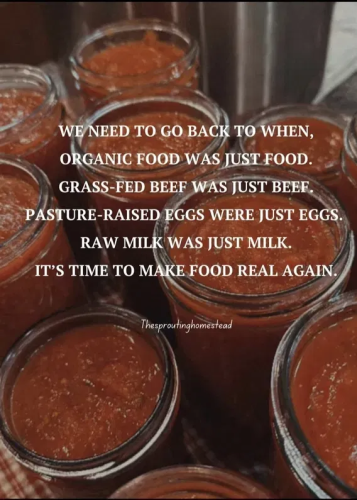 image_2025-03-15_085745851