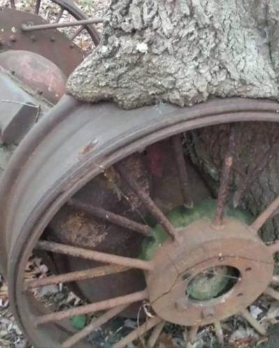 9c571871-7a2e-46b9-a657-6bd67d0e6a86