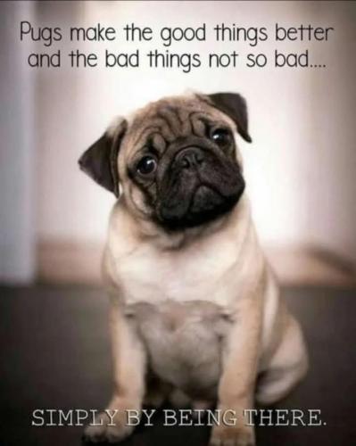 FB_IMG_1740757291340