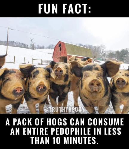 12:28:33 GMT-0500 (CDT)