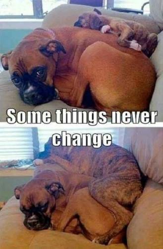 FB_IMG_1743256761418