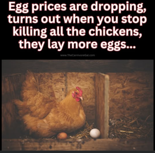 Screenshot 2025-03-17 103923