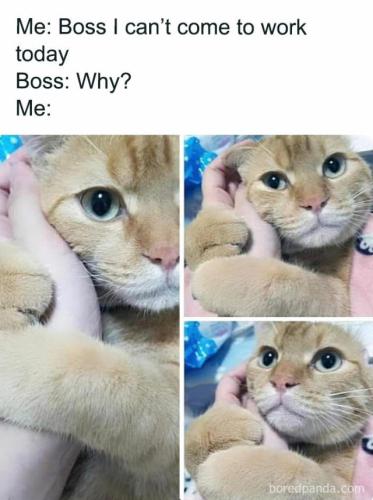 e5bad70faa760e69df9ad406194742dd