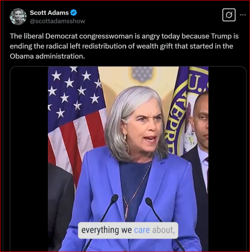 Screenshot 2025-03-07 134351