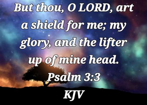 1a940184-bf83-4c5d-80fd-d17d01181874