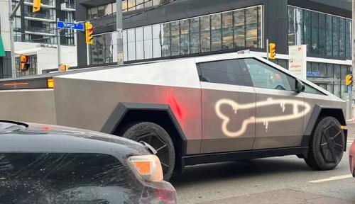 FB_IMG_1743024064087