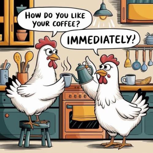 481084494_1078568260976402_4970749242285758614_n