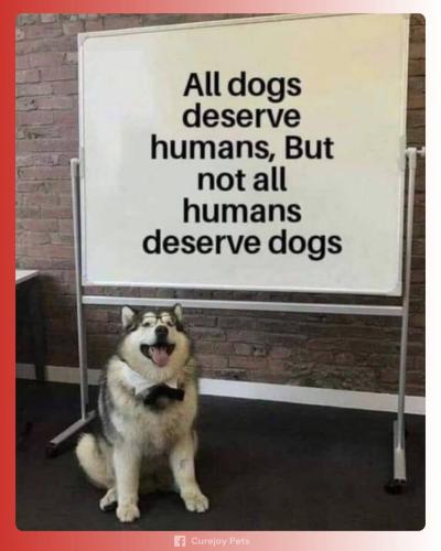 FB_IMG_1742680961086