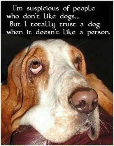 FB_IMG_1741982059914