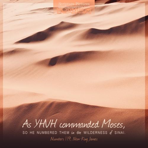 num-1-19-NKJV-unsplash