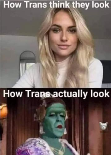 FB_IMG_1741743575740