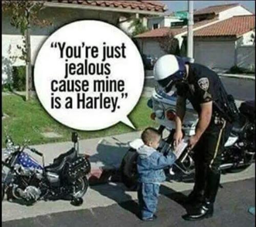 FB_IMG_1742236874575