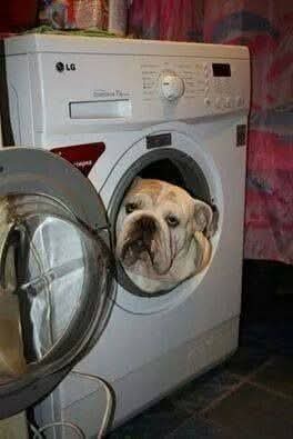 FB_IMG_1743359133930