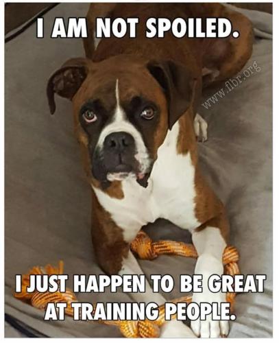 FB_IMG_1741532749103