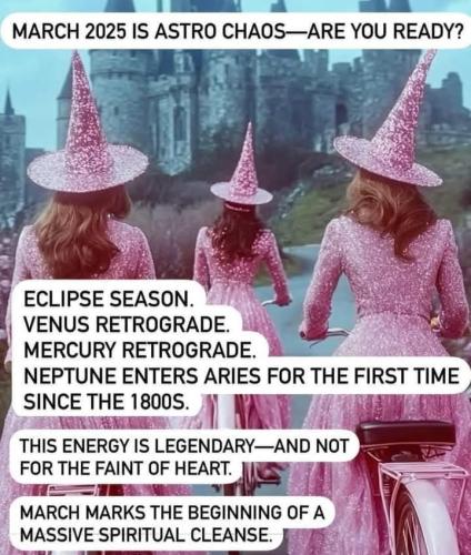 FB_IMG_1741026639589