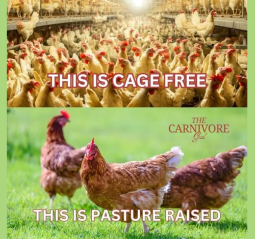 Screenshot 2025-03-12 101637