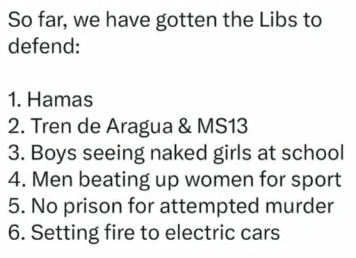 image_2025-03-20_061125869