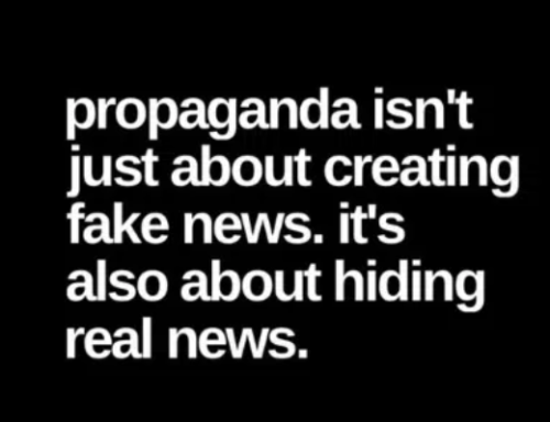 image_2025-03-04_064545238