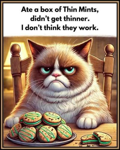 FB_IMG_1742317498459