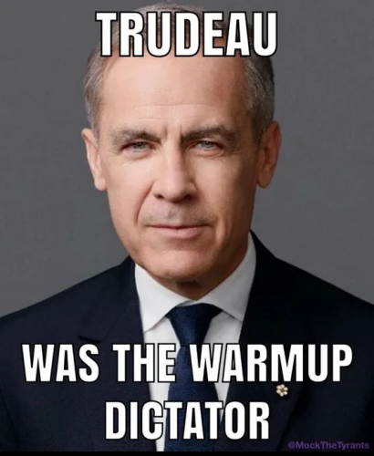 image_2025-03-12_061556121