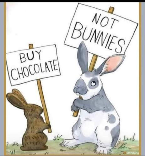 1CFDF676-8687-4B2F-9C16-763A113EB1FE