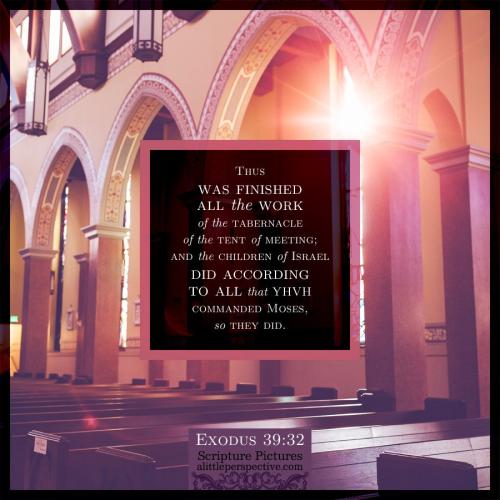 exo-39-32-JPS-unsplash